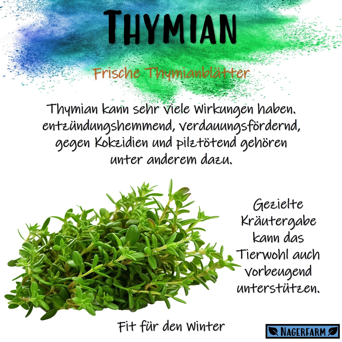 Christmas Hay - Thymian