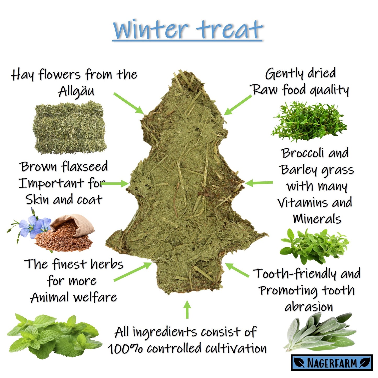 Christmas Hay - Oregano