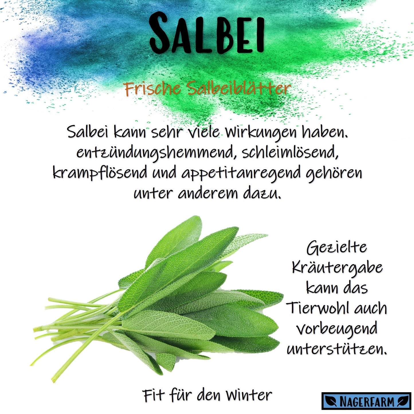 Christmas Hay - Salbei
