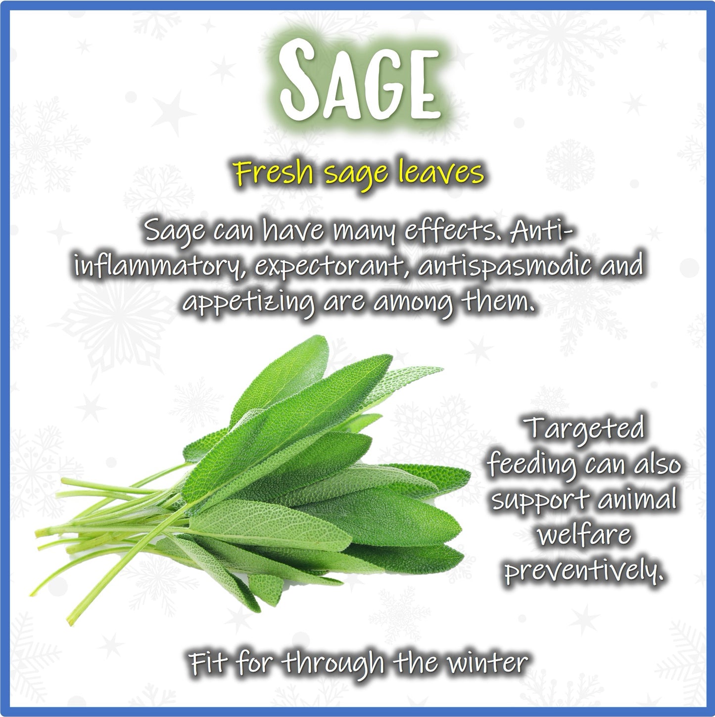 Christmas Hay - Salbei - Nagerfarm