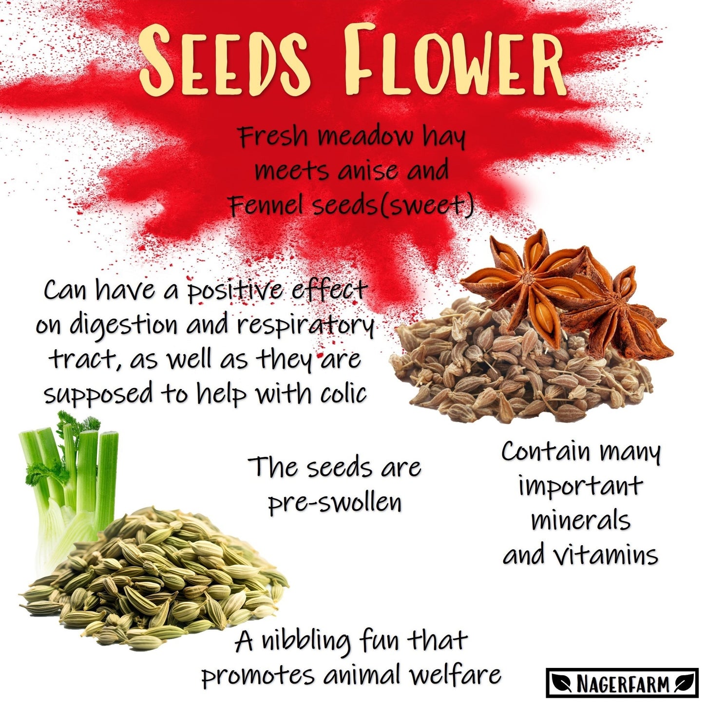 Snack Balls - Seeds Flower