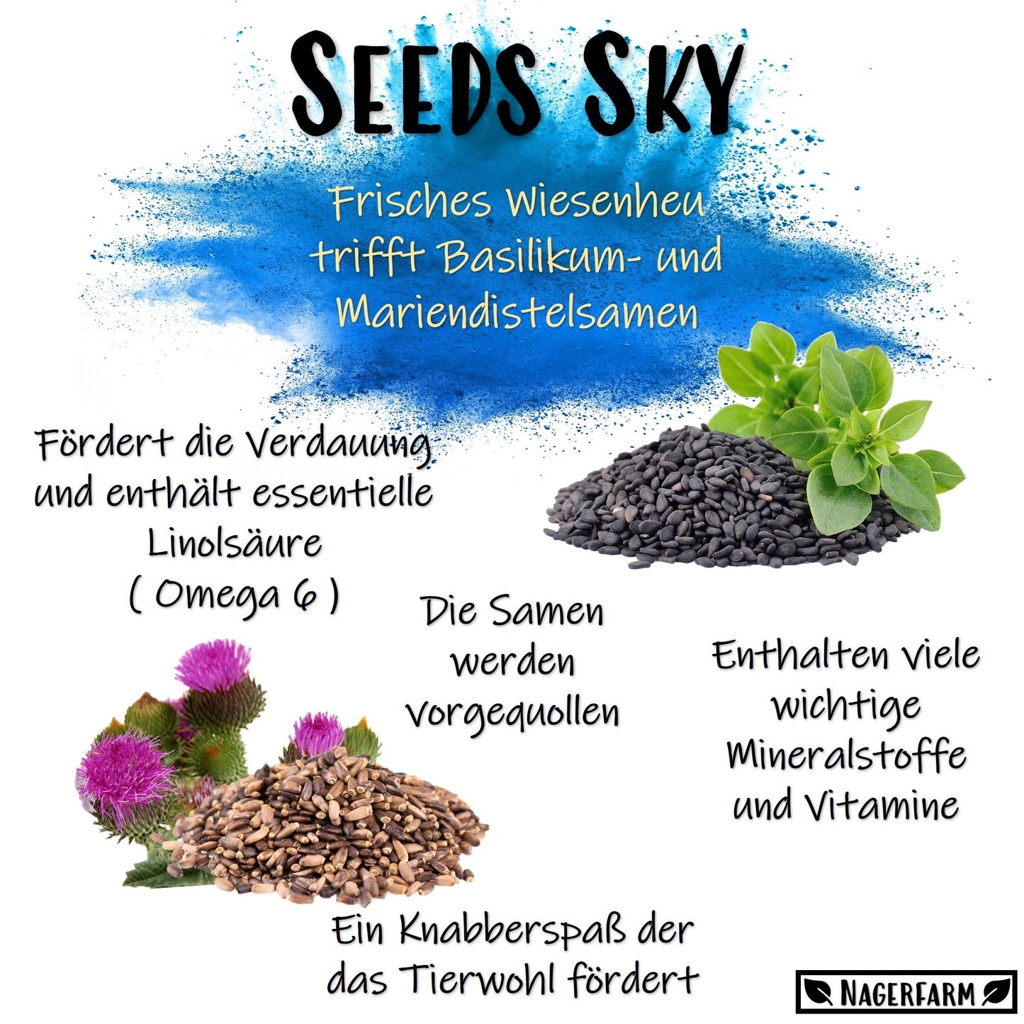 Snack Balls - Seeds Sky