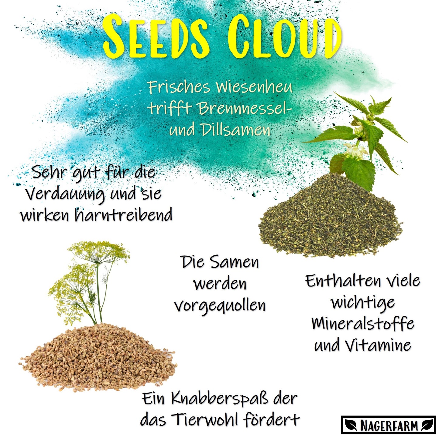 Snack Balls - Seeds Cloud
