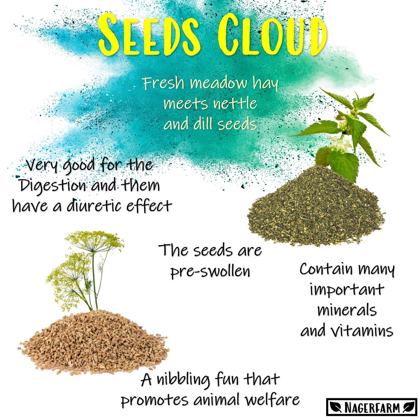 Snack Balls - Seeds Cloud
