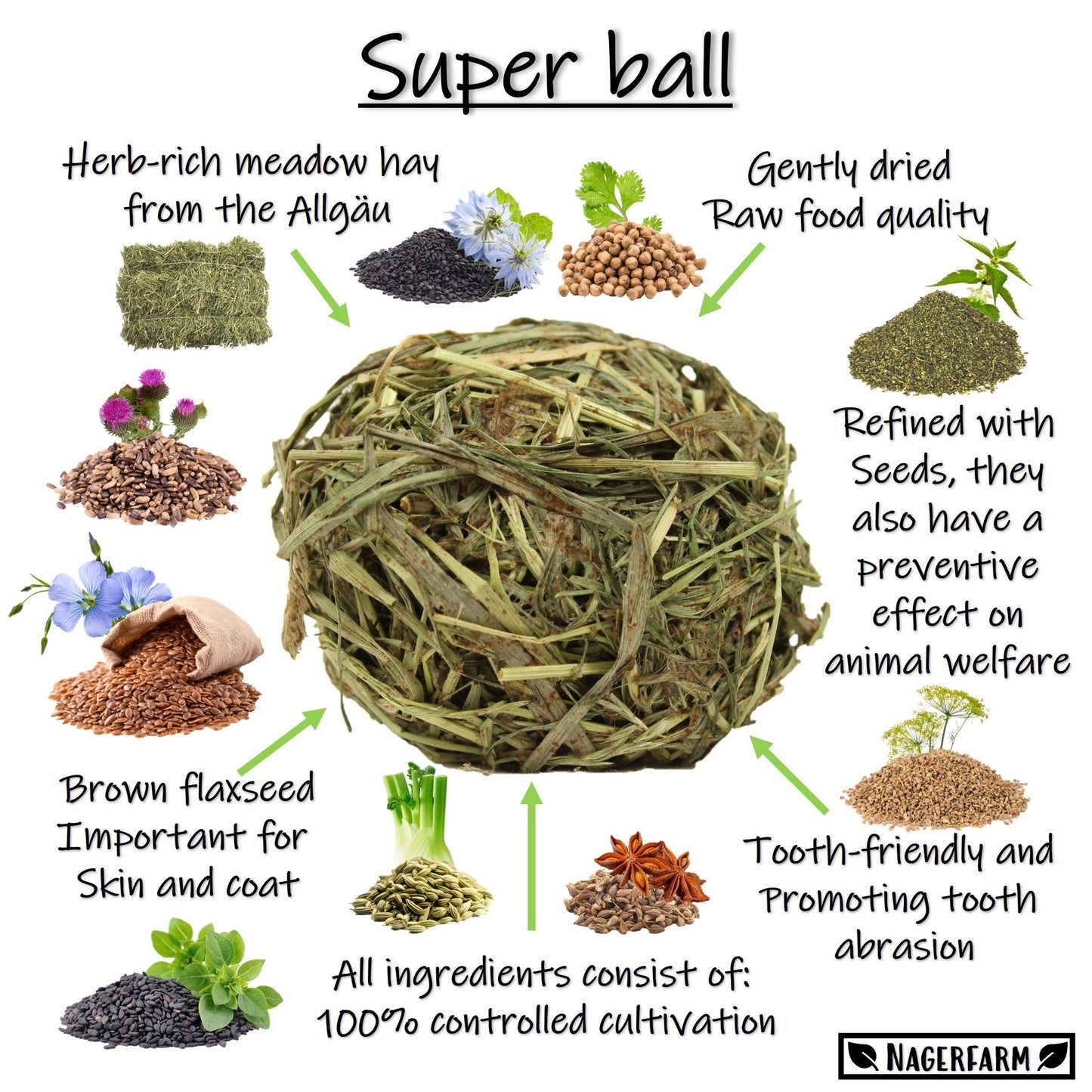 Snack Balls - Seeds Star