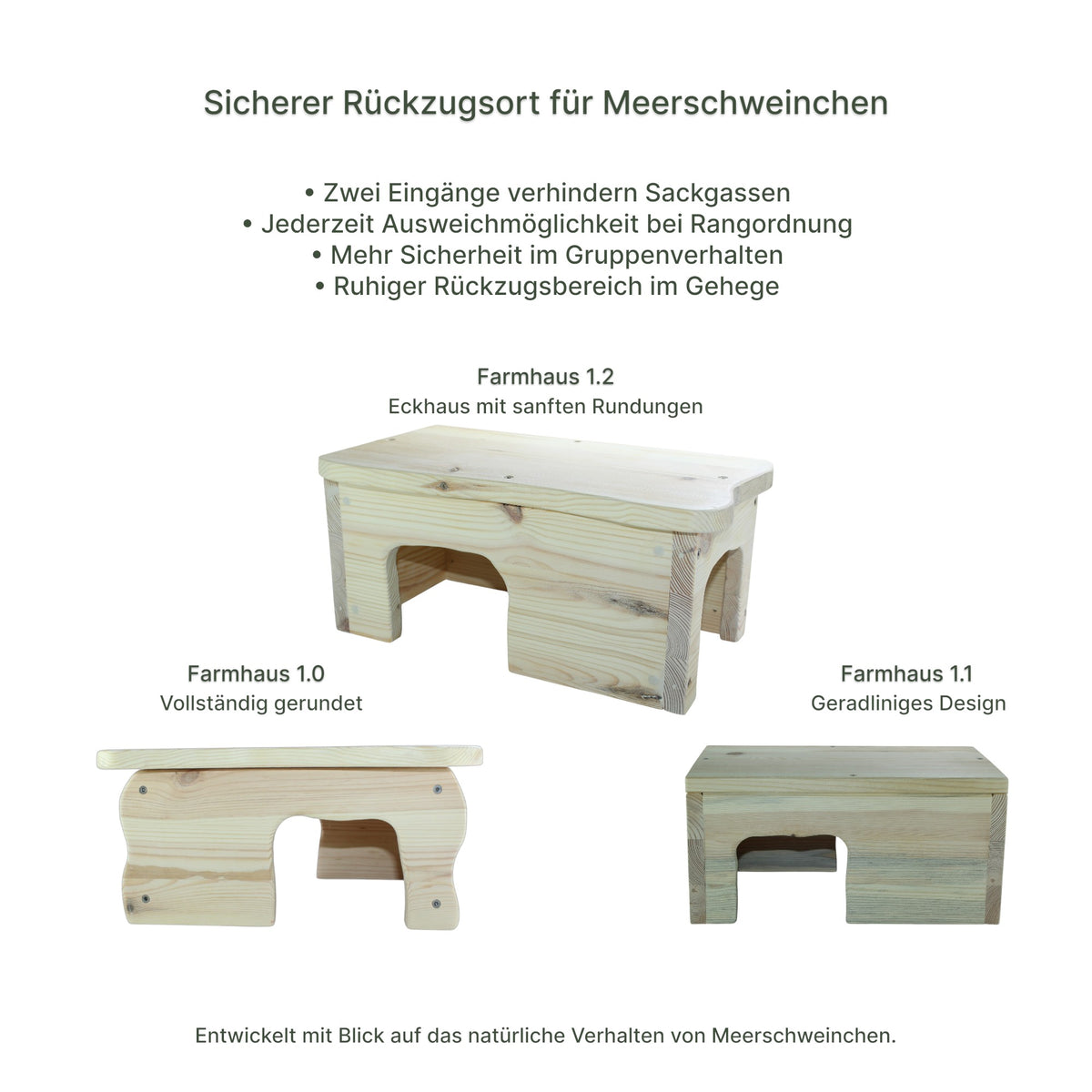 Detailansicht des Holz-Farmhauses mit sauber verarbeiteten Kanten