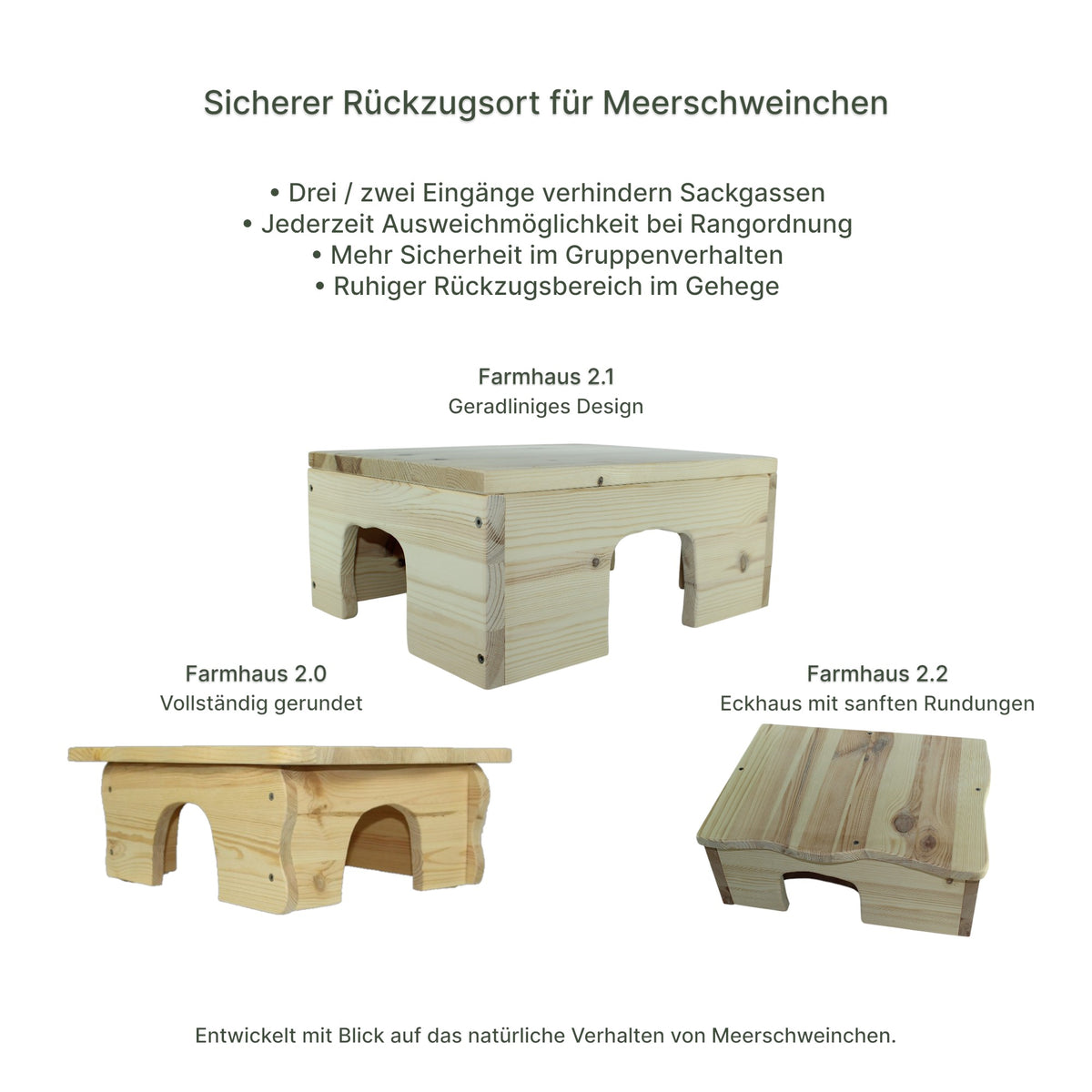 Detailansicht des Holz-Farmhauses mit sauber verarbeiteten Kanten