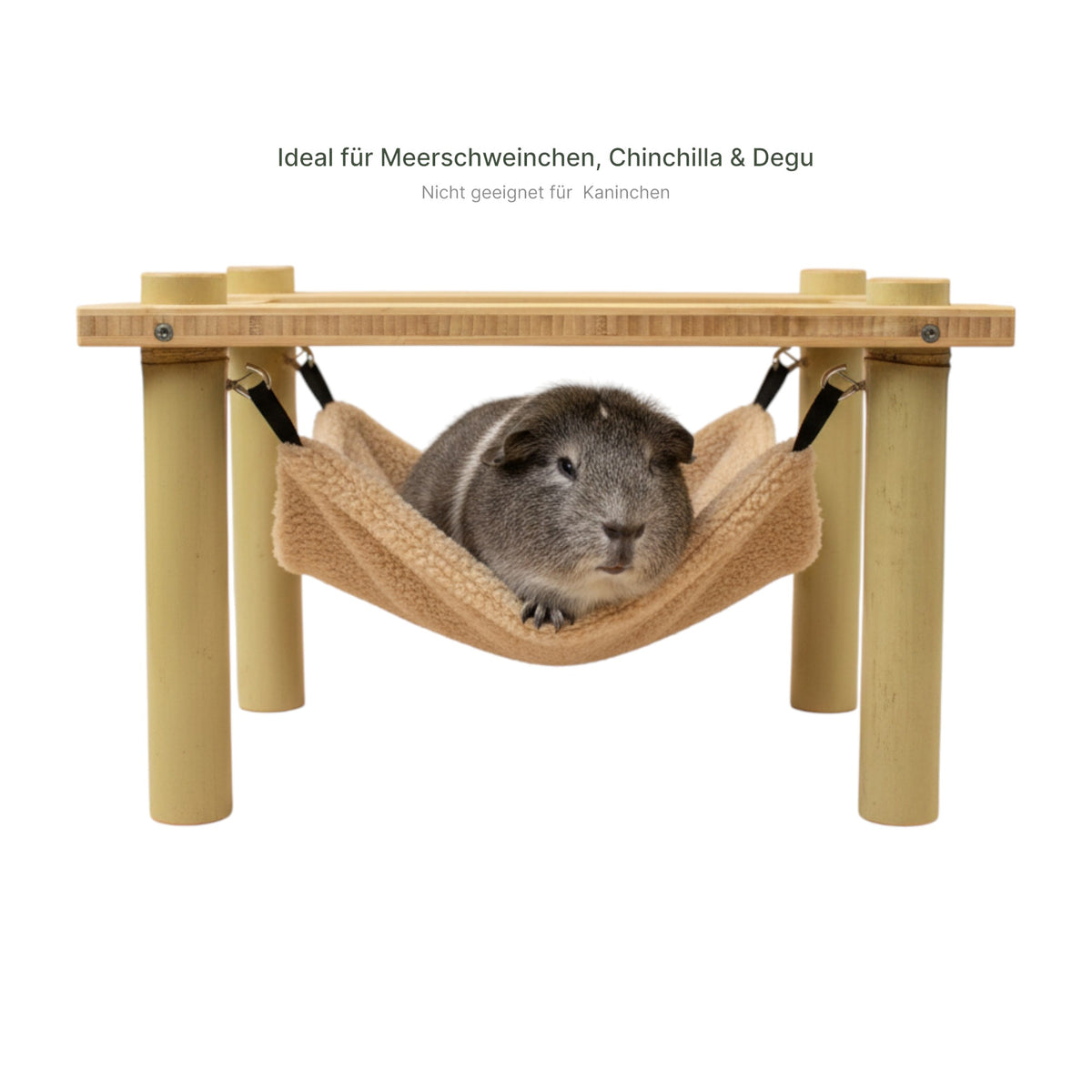 Meerschweinchen entspannt in Hängematte auf Bambus-Hängemattengestell