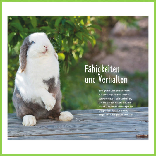 300 Fragen zum Zwergkaninchen - Nagerfarm