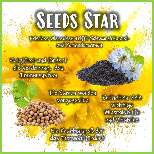 Snack Balls - Seeds Star - Nagerfarm