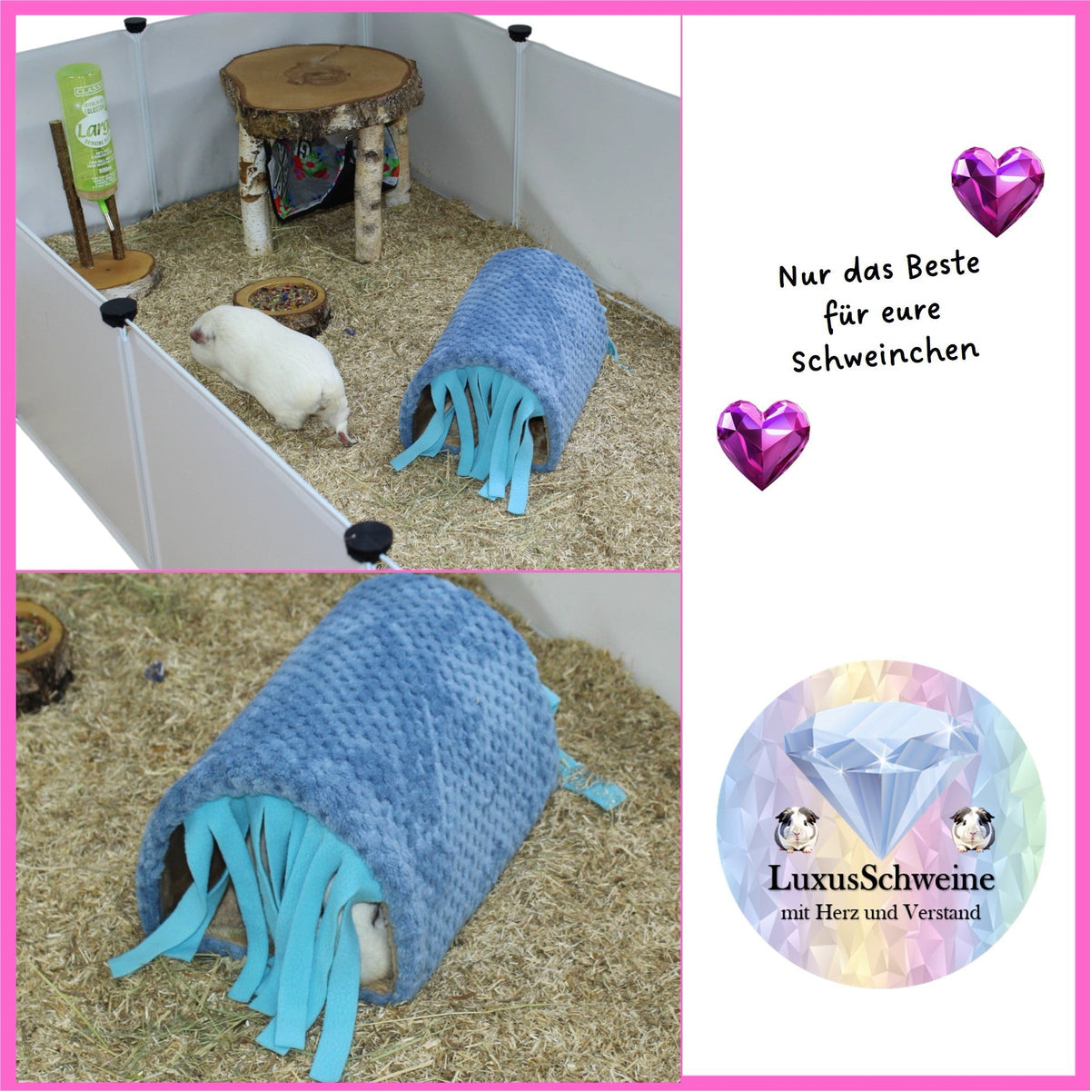 💧🌈 Blue Car Wash – Cuddly Fun for Your Guinea Pigs!