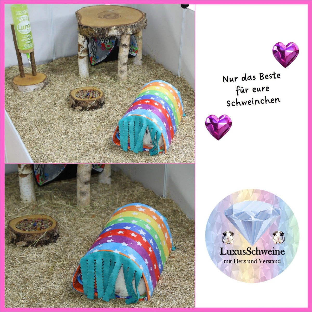 🌈🧼 Rainbow Car Wash – Color, Joy & Cuddliness for your Guinea Pigs!