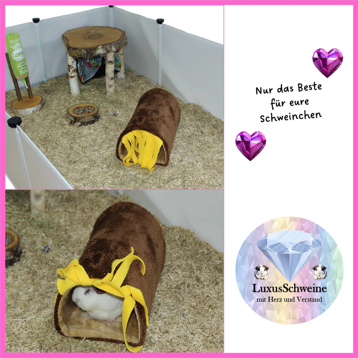 🚗🧼 Car Wash Brown – Cuddle Fun for your Guinea Pigs!