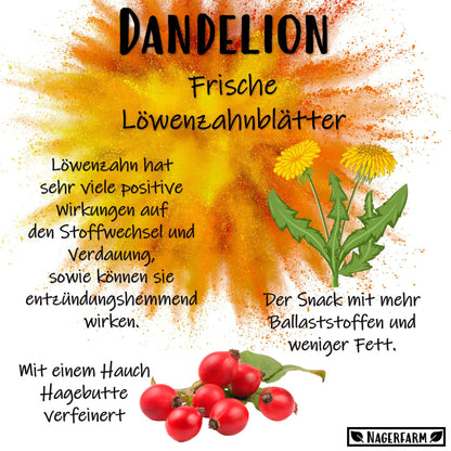 Snack Leaves - Dandelion