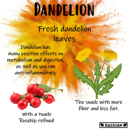 Snack Leaves - Dandelion