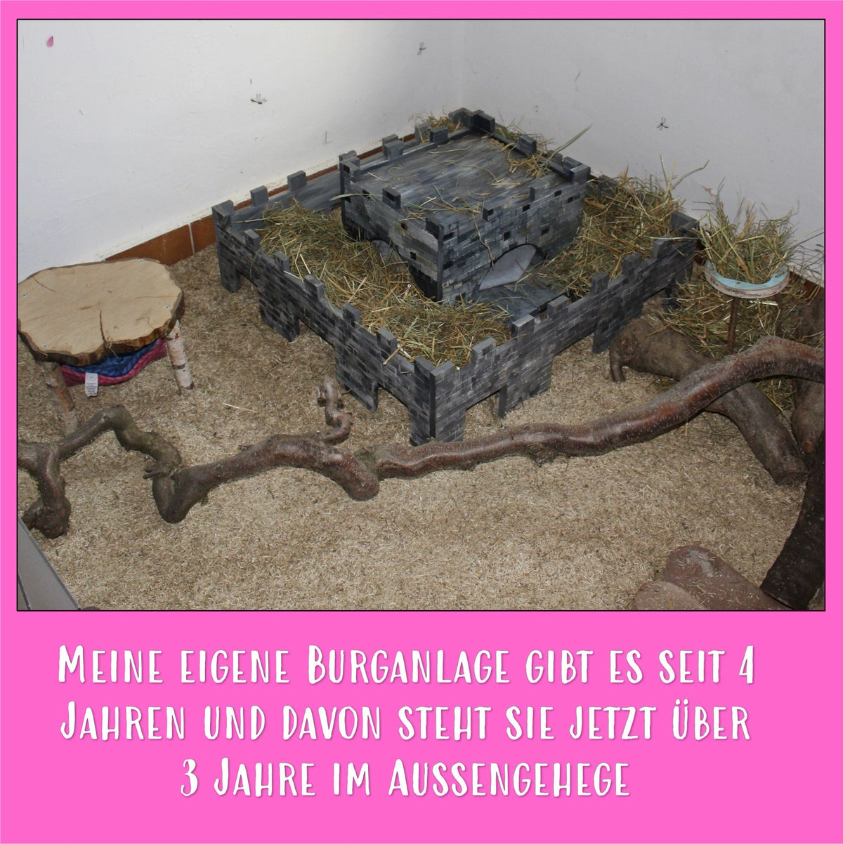 🏰 Die Burg XL – Majestätische Unterkunft für deine Meerschweinchen