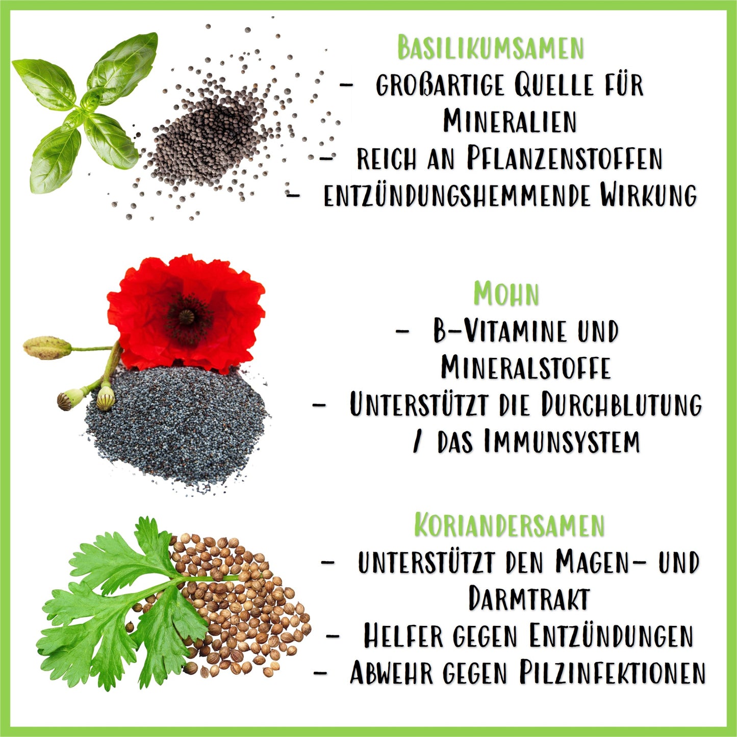 Saaten Mix Sommertraum - Nagerfarm