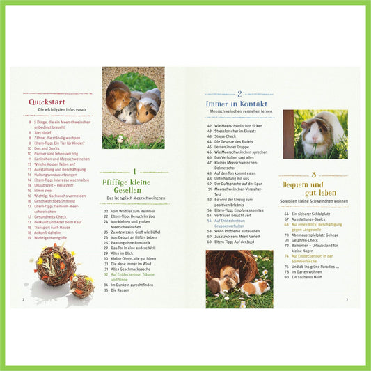 Neugierige Meerschweinchen: So fühlen sie sich wohl - Nagerfarm