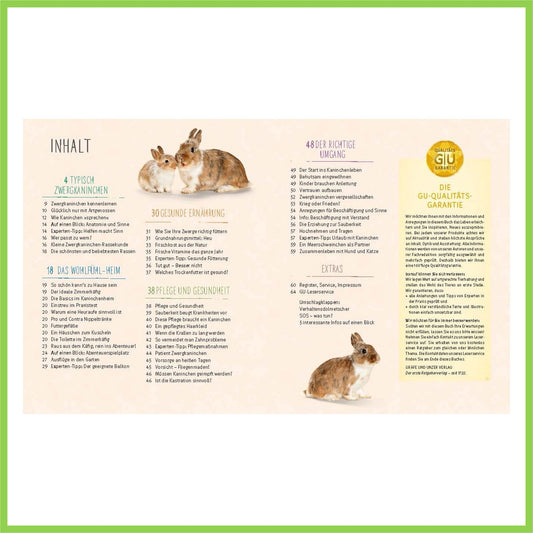 Zwergkaninchen: Glücklich durchs Leben hoppeln - Nagerfarm