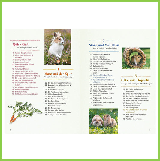 Liebenswerte Zwergkaninchen: So fühlen sie sich wohl - Nagerfarm