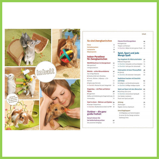 Spiel- u. Wohnideen für Zwergkaninchen - Nagerfarm