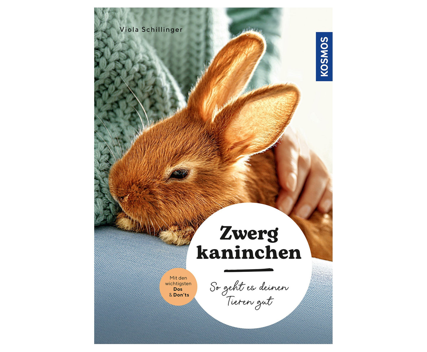 dwarf rabbit