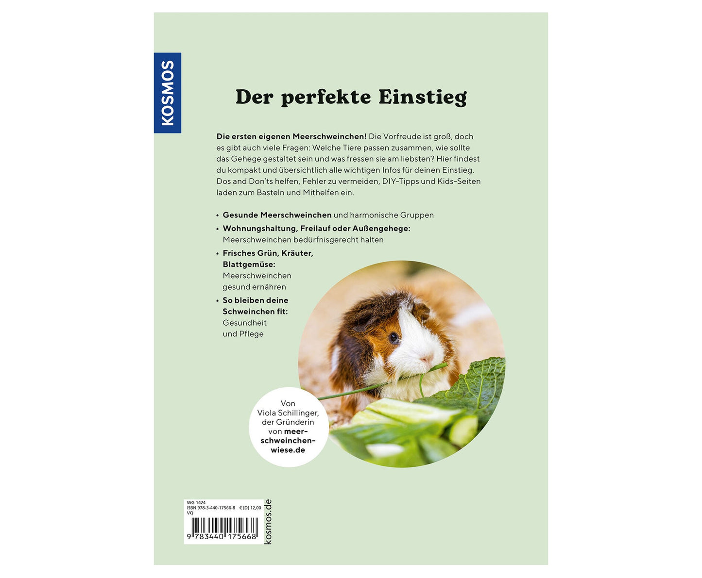 Meerschweinchen