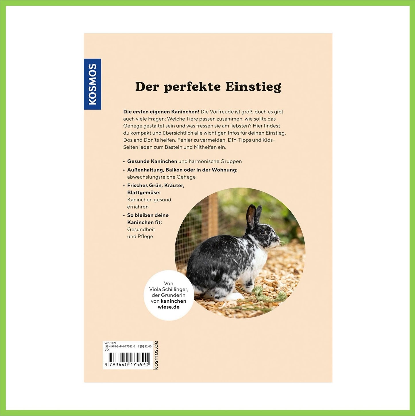 Zwergkaninchen - Nagerfarm