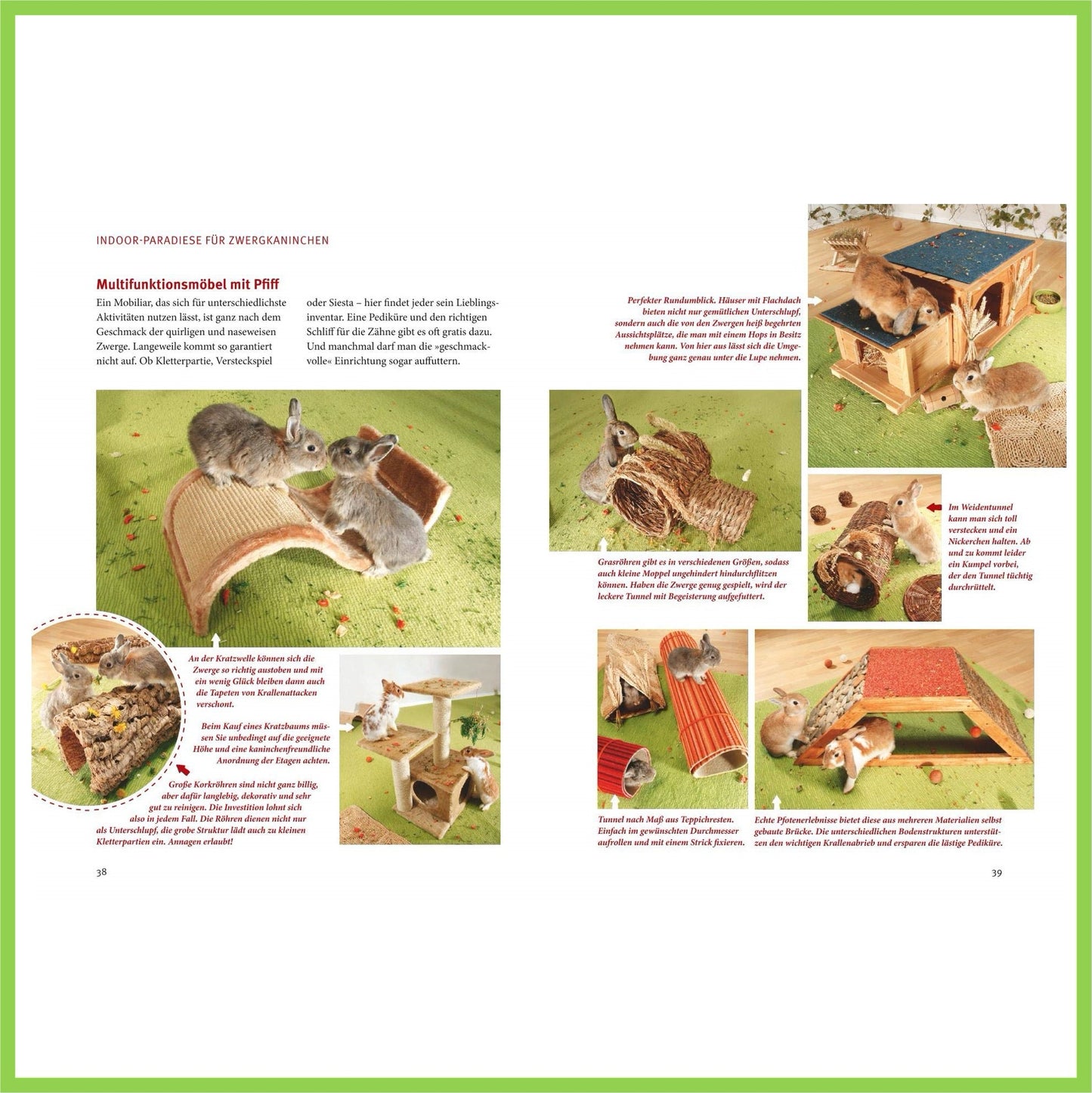 Spiel- u. Wohnideen für Zwergkaninchen - Nagerfarm