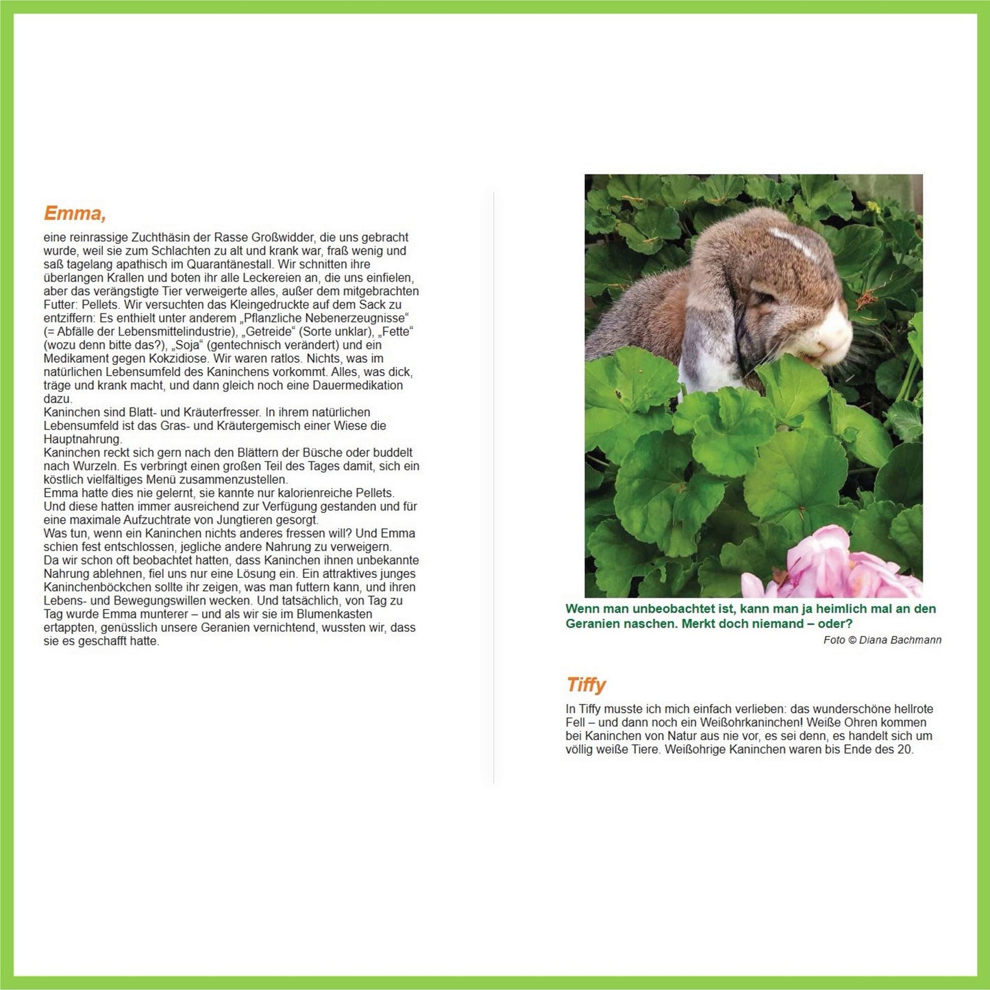 Happy Kaninchen von Diana Bachmann - Nagerfarm