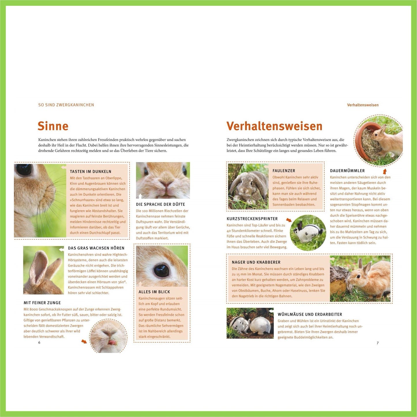 Spiel- u. Wohnideen für Zwergkaninchen - Nagerfarm