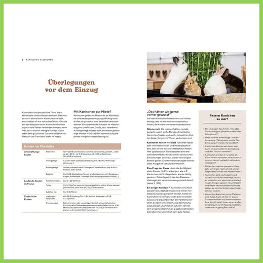 Zwergkaninchen - Nagerfarm