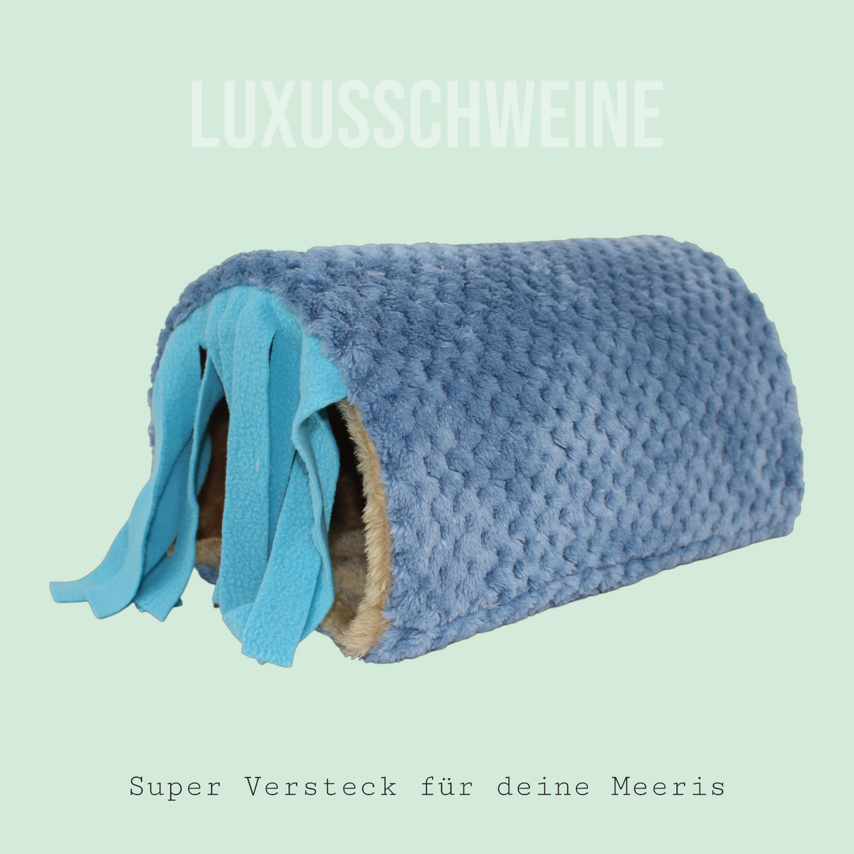 💧🌈 Blue Car Wash – Cuddly Fun for Your Guinea Pigs!