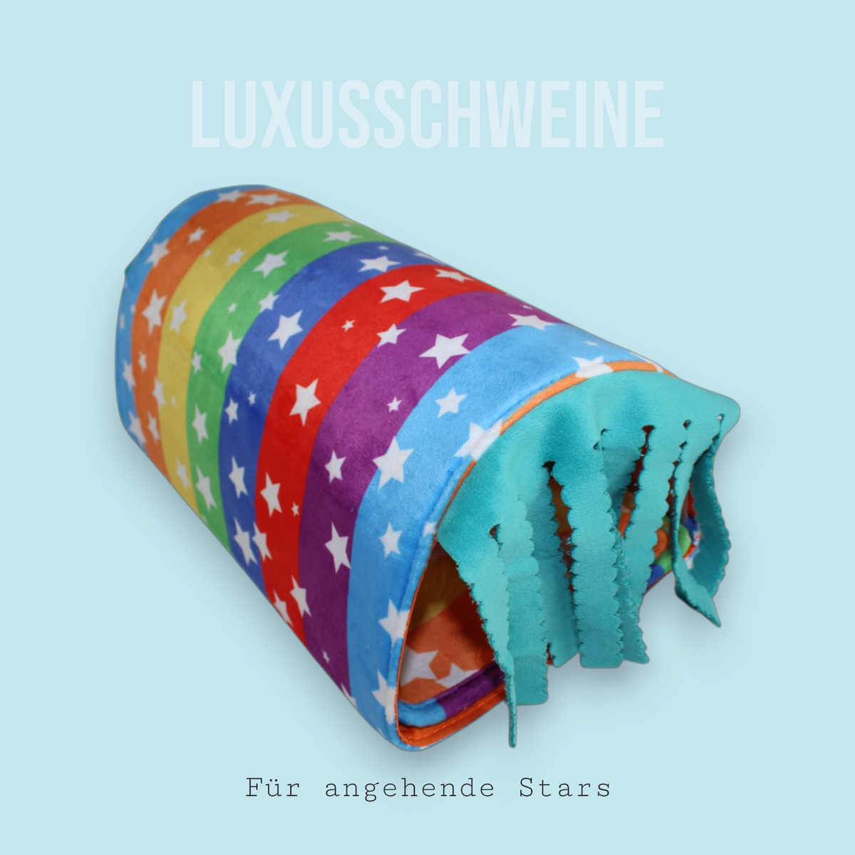 🌈🧼 Rainbow Car Wash – Color, Joy & Cuddliness for your Guinea Pigs!