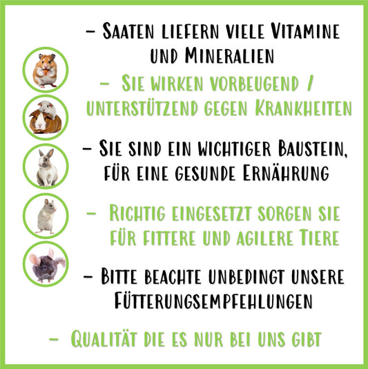 Saaten Mix Frühlingsgefühle - Nagerfarm