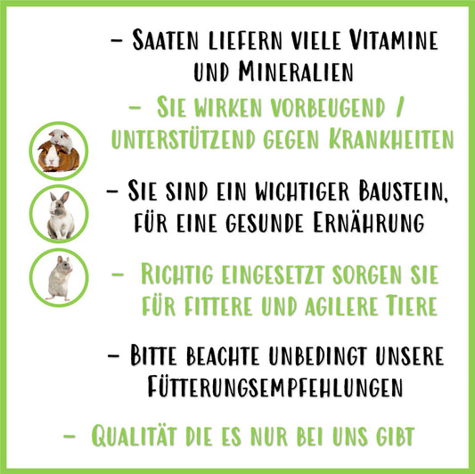 Saaten Mix Sommertraum - Nagerfarm