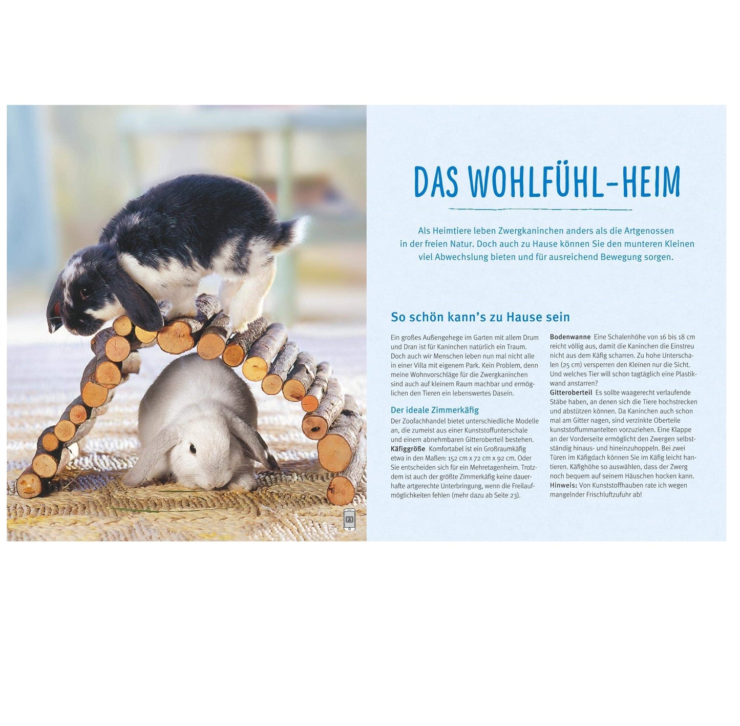 Zwergkaninchen: Glücklich durchs Leben hoppeln