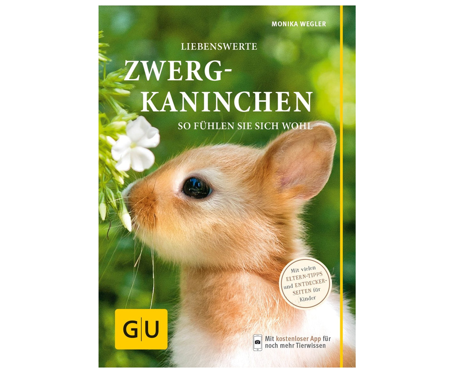 Liebenswerte Zwergkaninchen: So fühlen sie sich wohl