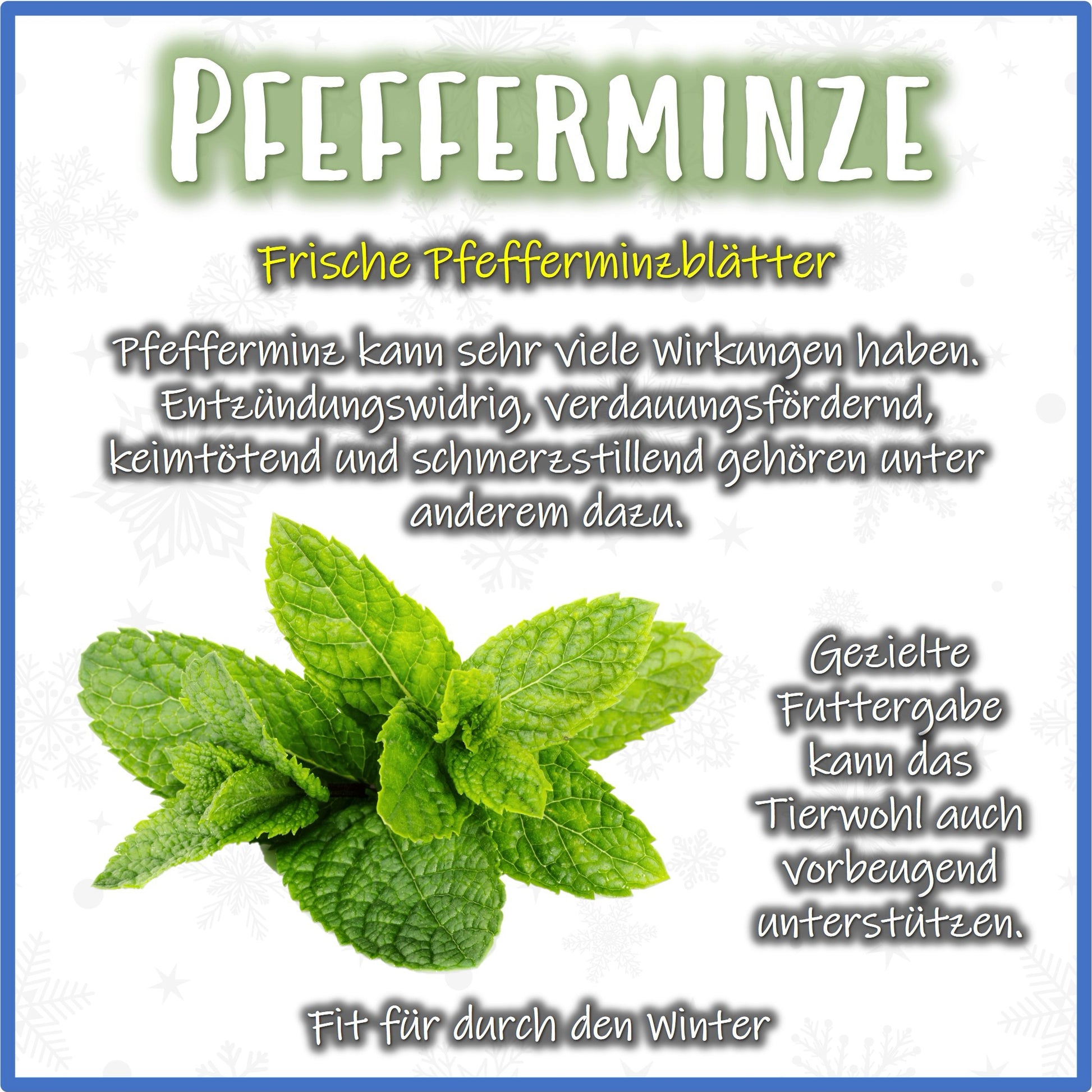 Christmas Hay - Pfefferminz - Nagerfarm