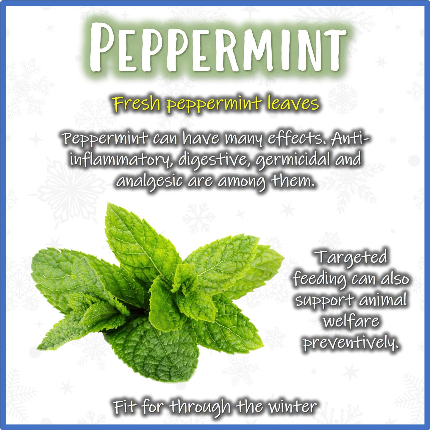 Christmas Hay - Pfefferminz - Nagerfarm