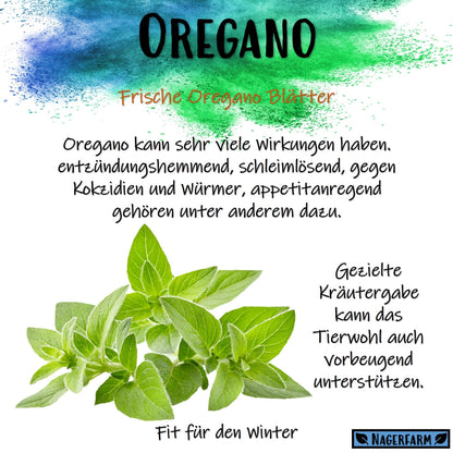 Christmas Hay - Oregano