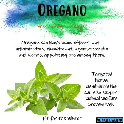 Christmas Hay - Oregano