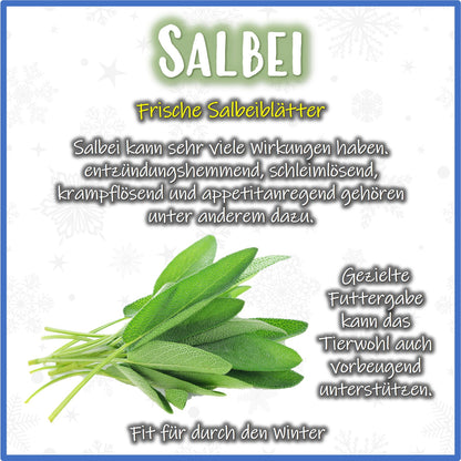Christmas Hay - Salbei - Nagerfarm