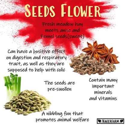Snack Balls - Seeds Flower