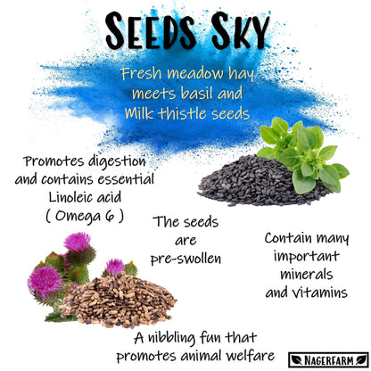 Snack Balls - Seeds Sky