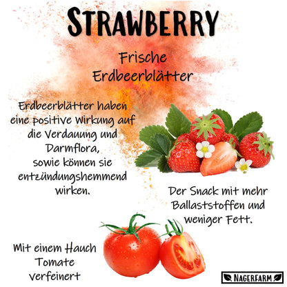 Snack Leaves - Strawberries