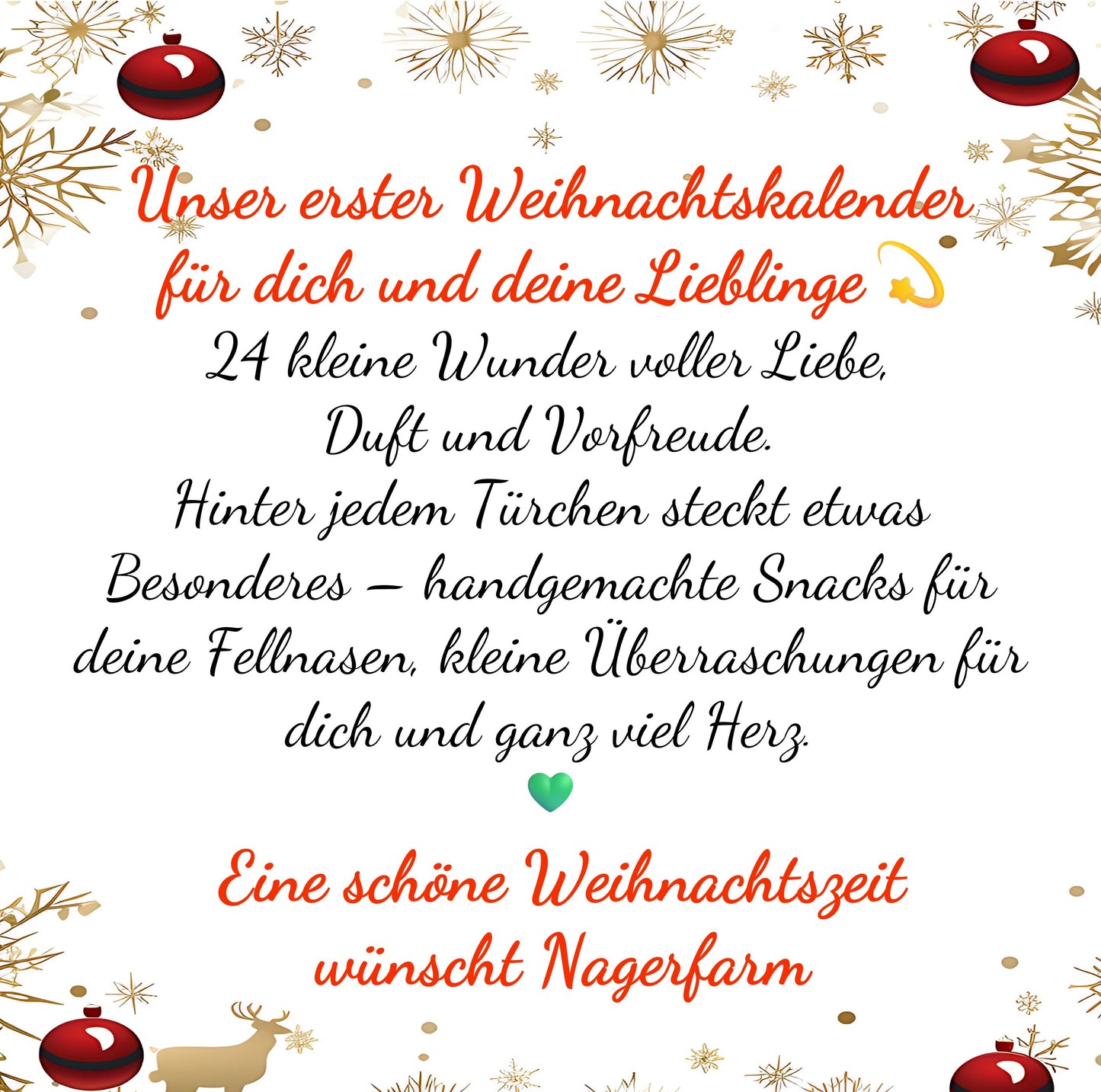 🎁Weihnachtskalender für Dich & Deine Fellnasen – 24 Tage voller Freude