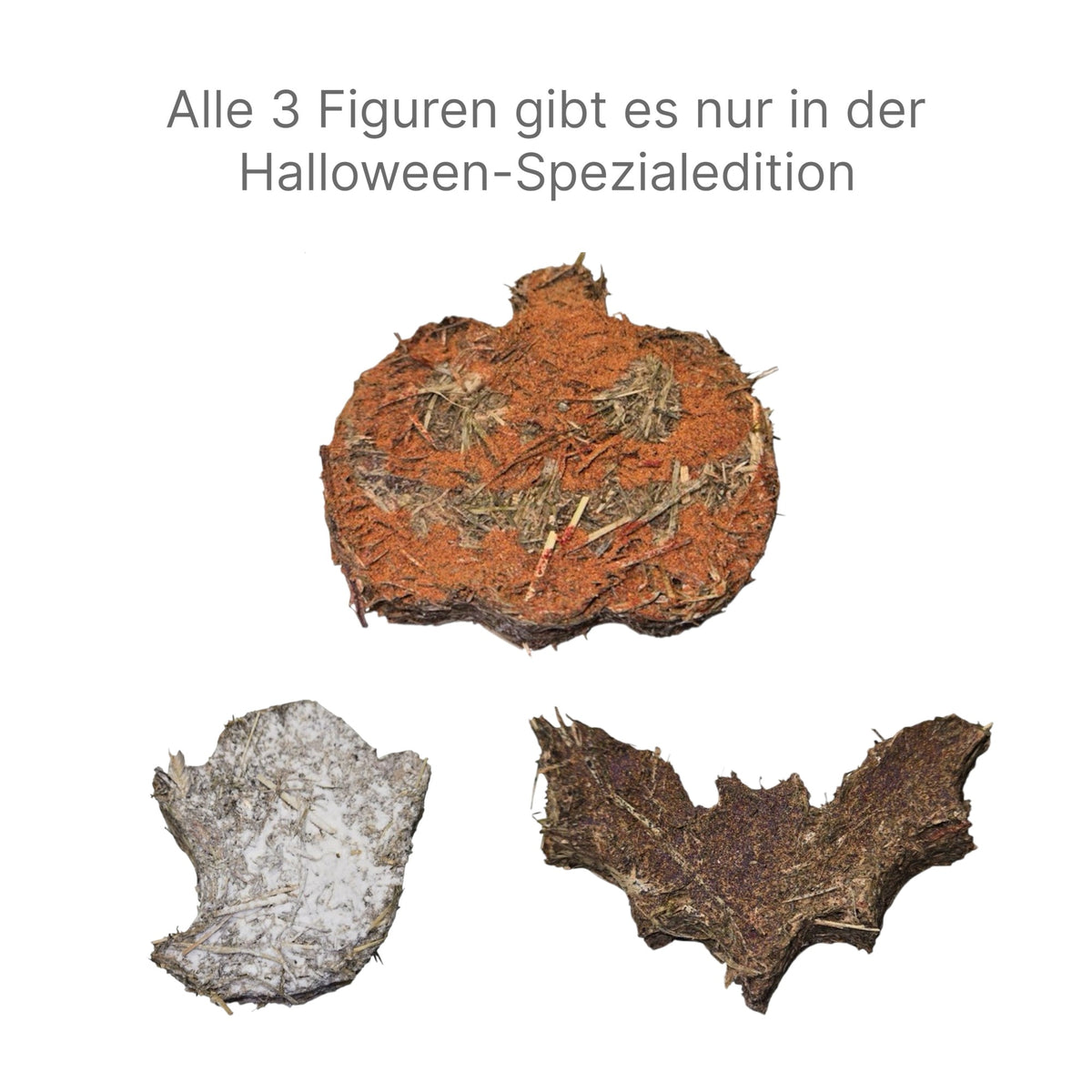 🎃 Kleine Gruselzeit für deine Fellnasen!