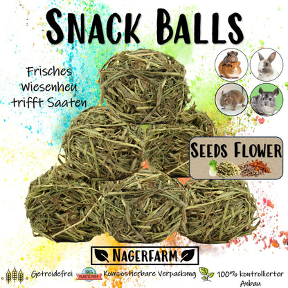 Snack Balls - Seeds Flower