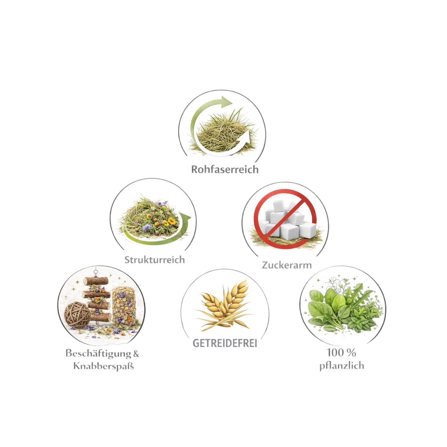 Rohfaserreiche Knabberkarotte – zuckerarm und getreidefrei